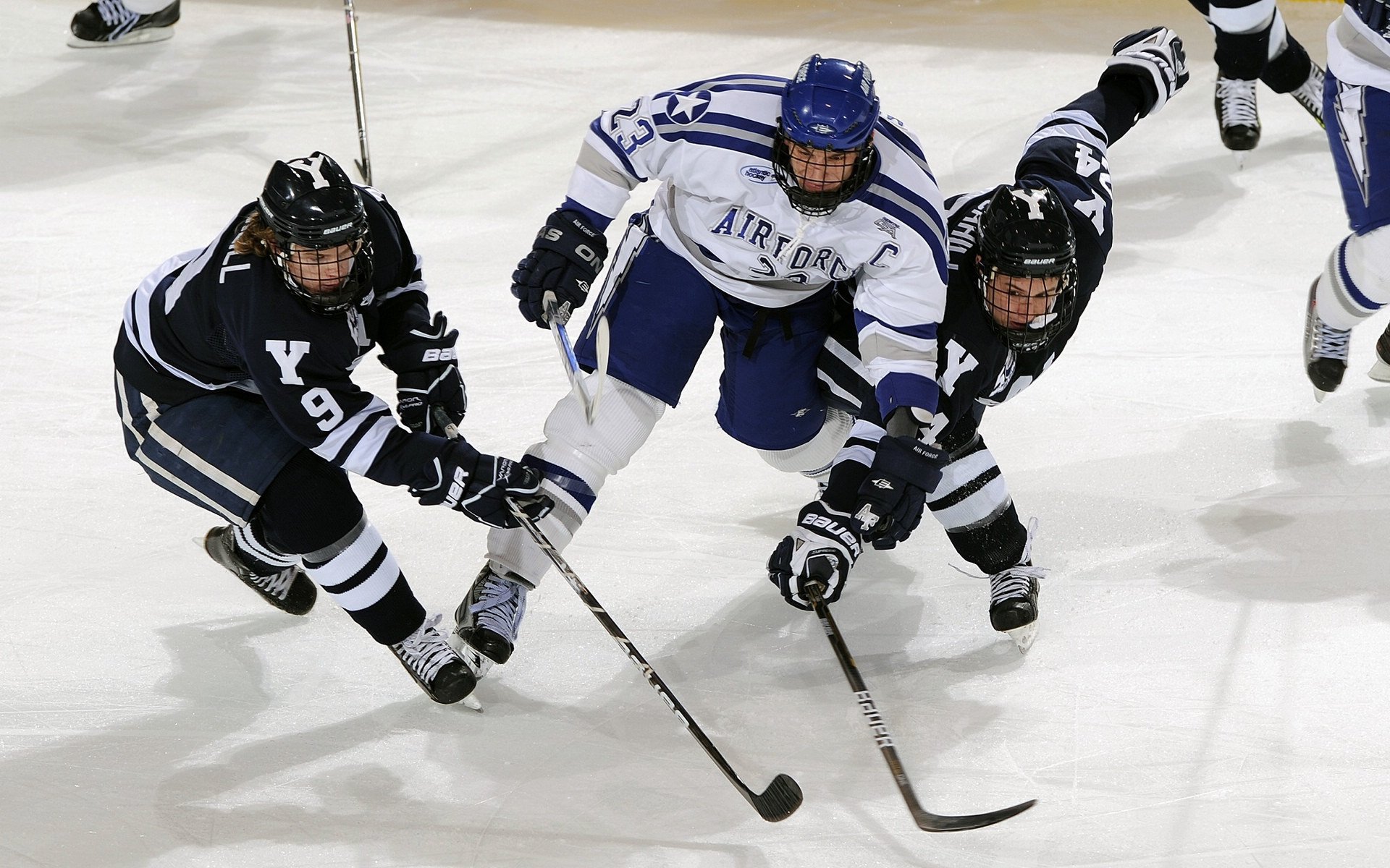 全球绿色足球场建设数量不断增加，推动行业绿色可持续发展，绿色的足球场